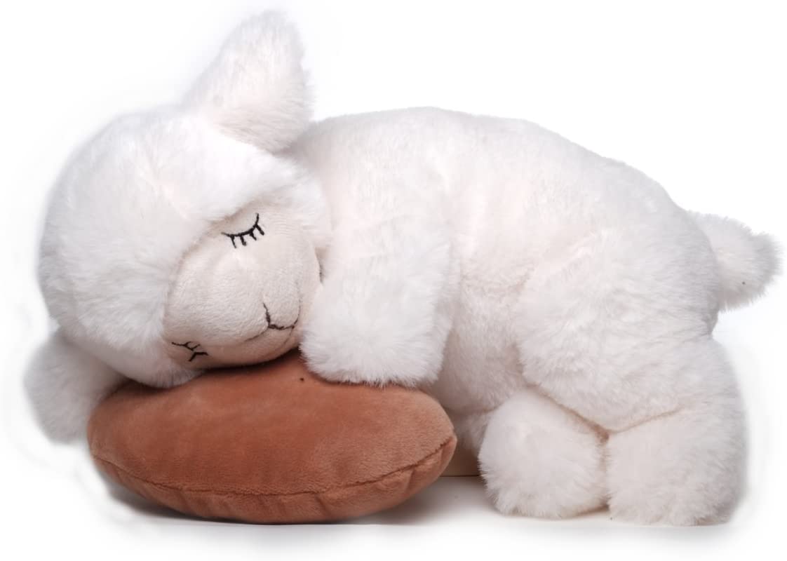 Inware 6235 Schlafendes Schaf Sleepy Schmusekissen 25 cm Kuscheltier Plüschtier Stofftier